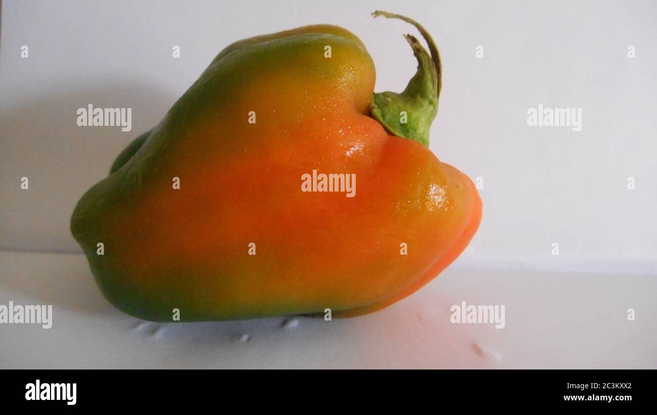 Eine schöne reifen Paprika auf weißem Hintergrund. Stockfoto