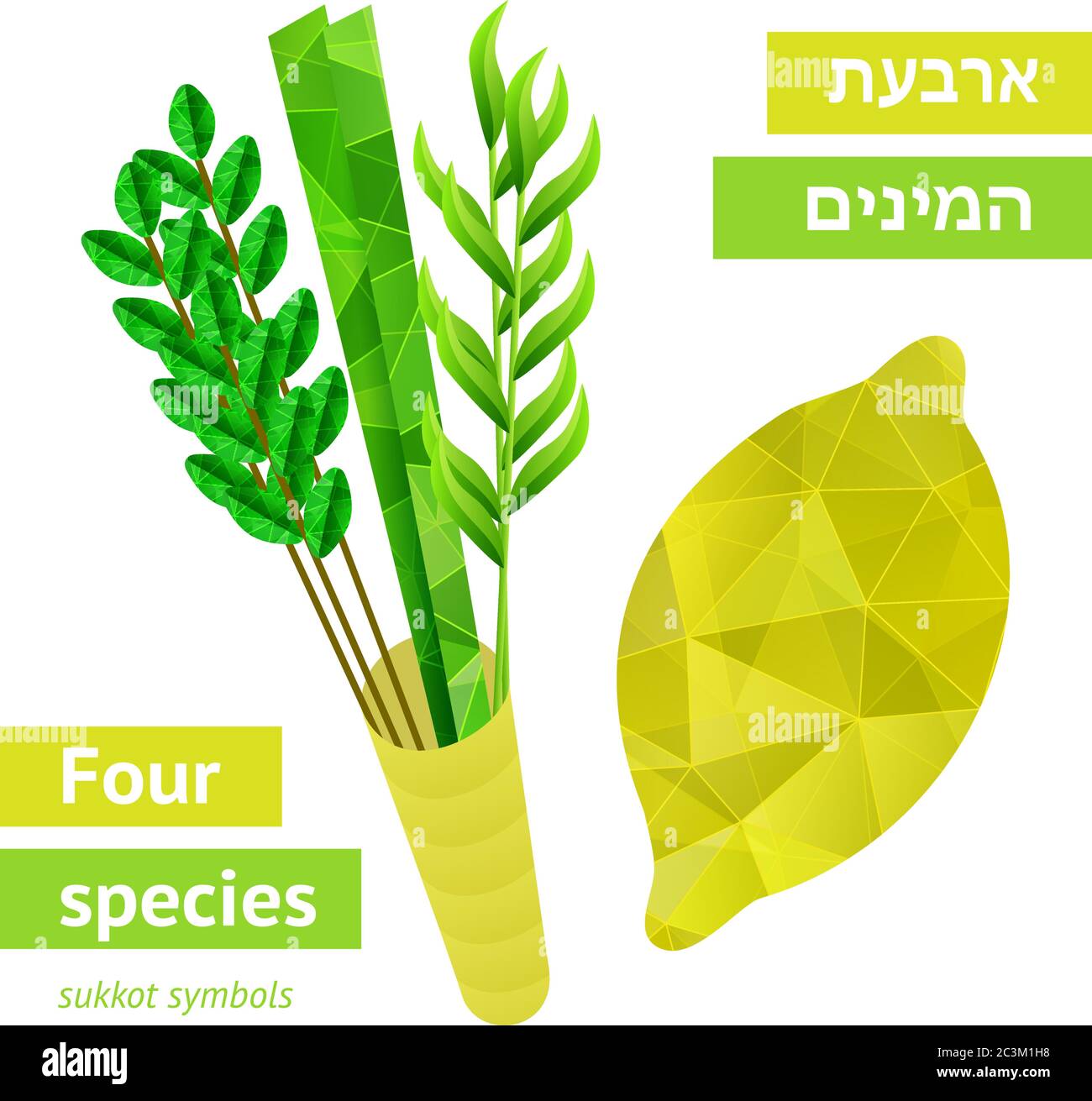Vier Arten - Palme, Weide, Myrte, Etrog - Symbole der jüdischen Feiertag Sukkot. Vektorgrafik. Stock Vektor