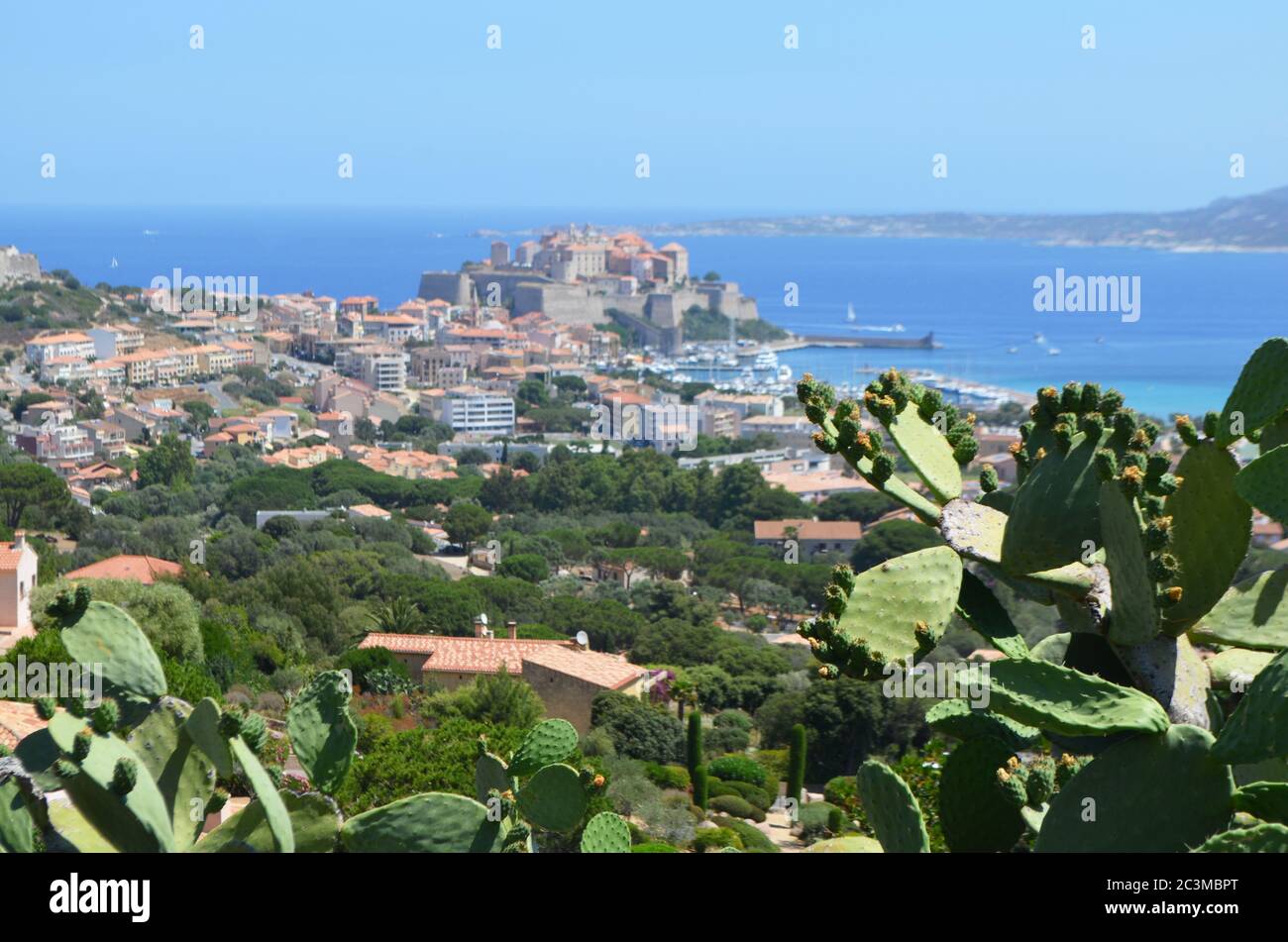 Blick auf Calvi vom Hügel, Korsika Stockfoto