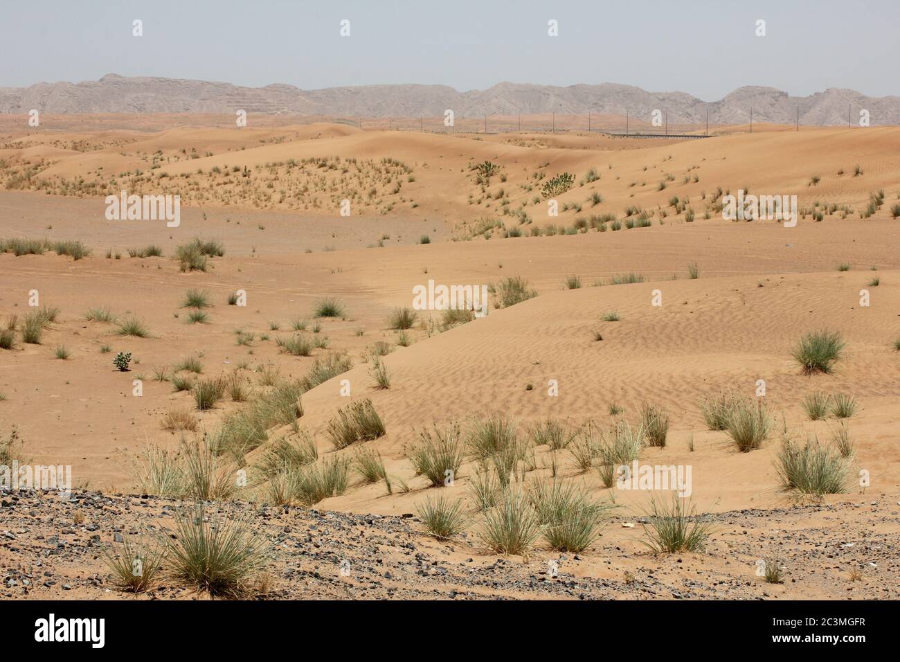 Unberührte Wüste Sanddünen Ökologie / Ökosystem. Wind Aktion ändert ständig  die Größe, Höhe, Form, Textur und Farbe der hohen und trockenen Dünen  Stockfotografie - Alamy