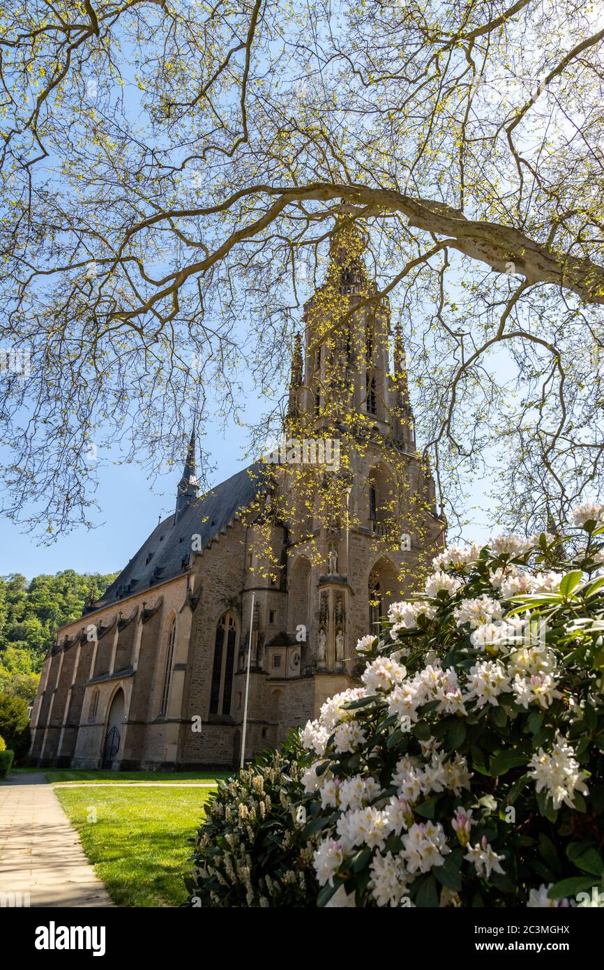 Weitwinkelansicht auf der Schlosskirche in Meisenheim Stockfoto