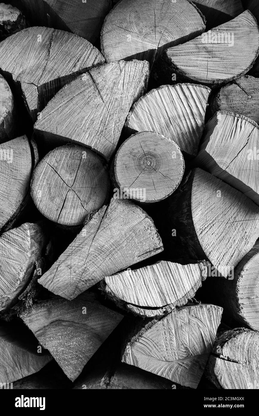 Gruppe von trockenem Brennholz in Scheune. Stockfoto