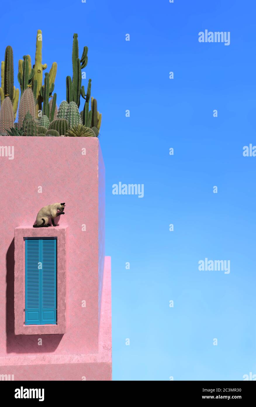 Kaktus und Sukkulenten wachsen auf dem Dach eines alten rosa Hauses gegen einen klaren Himmel. Altes persisches Gebäude mit rosa Wänden und einer persischen Katze auf einem Windo Stockfoto