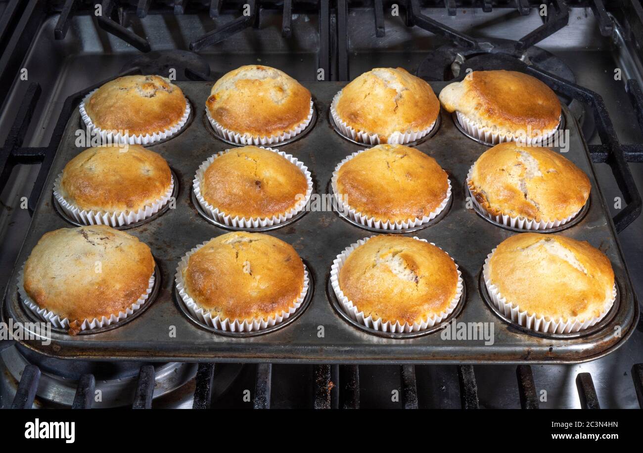 Ein Dutzend frisch gebackene Muffins in Papierkisten, in einem Backblech  auf einem Herd, heiß aus dem Ofen Stockfotografie - Alamy