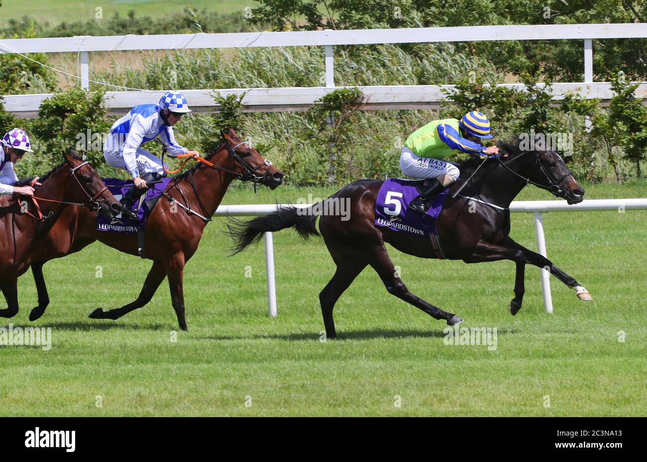 Oodnadatta von Shane Foley geritten gewinnt den Irish Hengst Farms EBF-Stutfohlen Maiden auf der Leopardstown Racecourse. Stockfoto