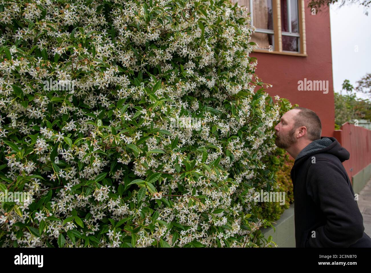 Ein Mann macht einen Spaziergang in einem Viertel von San Francisco. Stockfoto