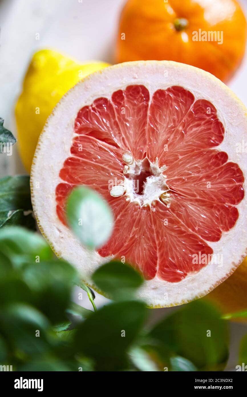 Grapefruitscheibe mit saftigem rotem Fruchtfleisch, Nahaufnahme, Draufsicht. Frische reife Grapefruit Zitrusfrüchte und verschwommene grüne Blätter der Zimmerpflanze, selektiver Fokus Stockfoto