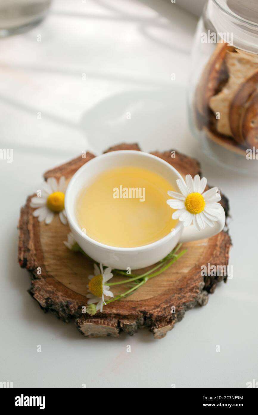 Tasse Kräutertee mit Kamille Gänseblümchen Blumen auf Holzplatte, Konzept der beruhigenden Tee-Party, Anti-Stress-Kräutergetränk, alternative Medizin, ableiht Stockfoto