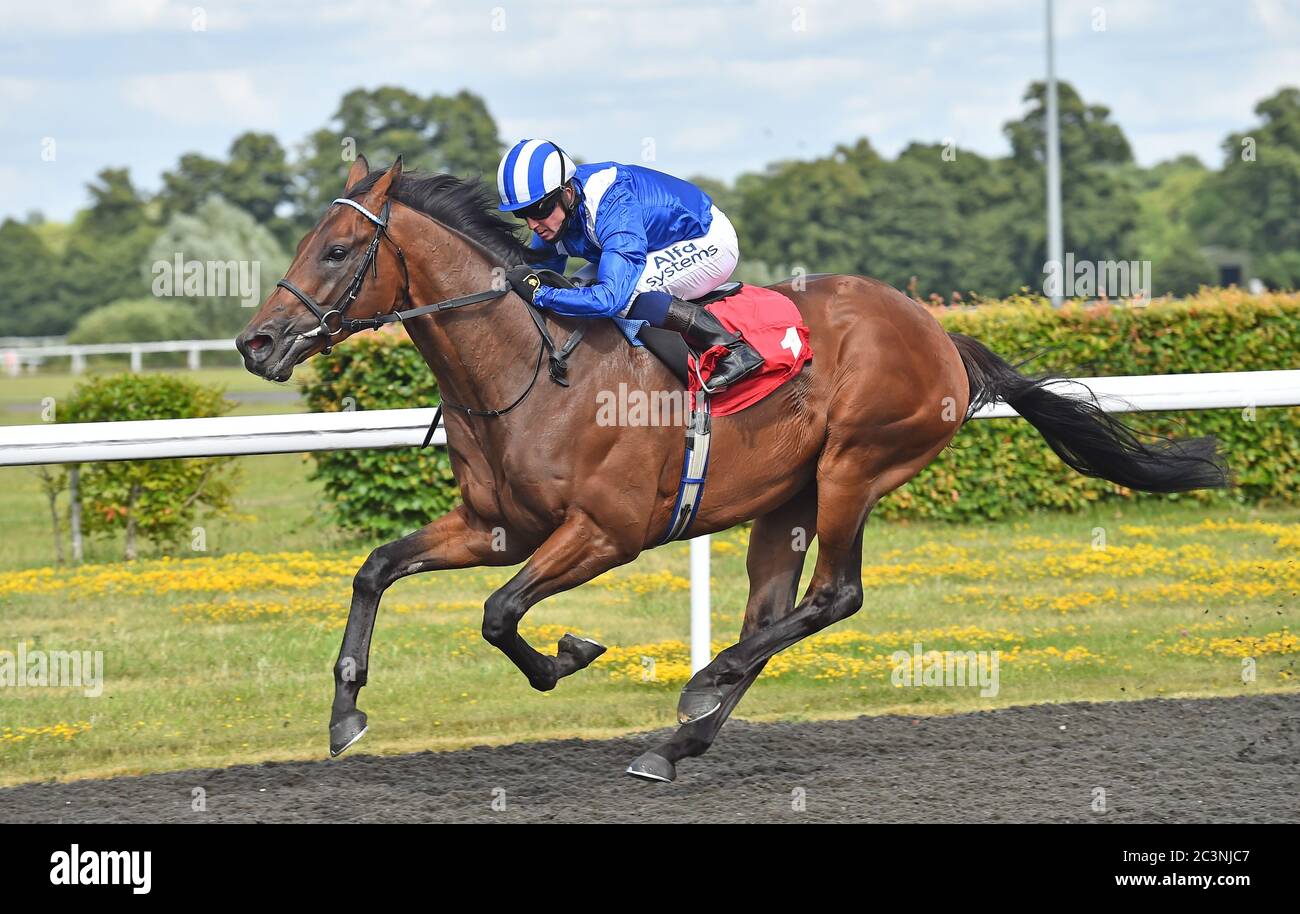 Almighwar (Jim Crowley) gewinnt das Unibet 3 erhöht einen Tag Novize Einsätze auf Kempton Park Rennbahn. Stockfoto