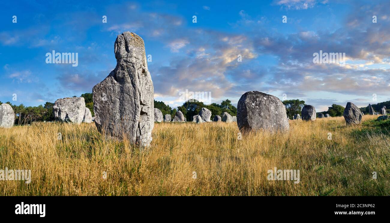 Blick auf die neolithischen Steinmonalithen von Carnac, Alignements de Kelescan, eine vorkeltische Fundstelle aus stehenden Steinen, die von 4500 bis 2000 v. Chr. verwendet wurde, ist Carnac Stockfoto