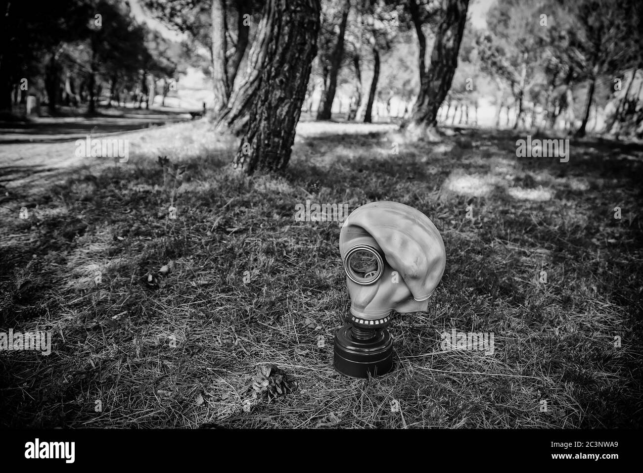 Gasmaske für Pandemie, Covid und Anthrax, bakteriologische Kriegsführung Stockfoto