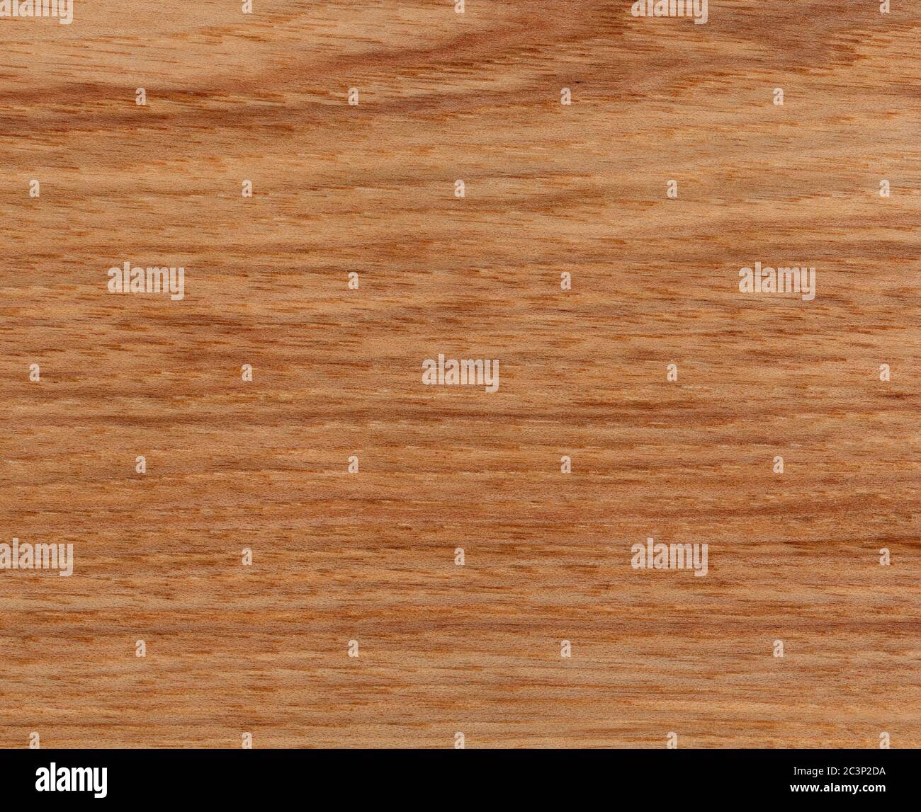 American Hickory Holz Textur Hintergrund in gefüllten Rahmen-Format Stockfoto