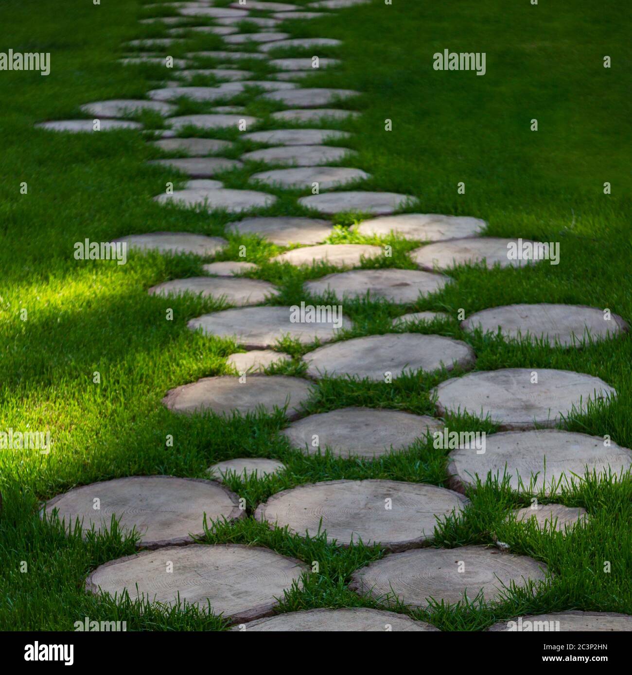 Holzsteg auf Gras im Park. Selektiver Fokus Stockfoto