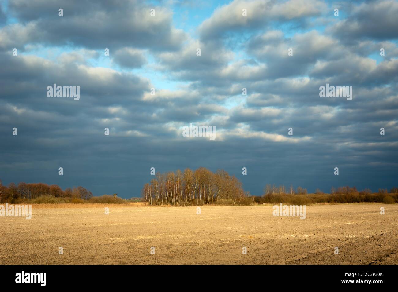 Ein Streifen gepflügten Feldes, Bäume am Horizont und dunkle Wolken am blauen Himmel, Frühling Blick in Ostpolen Stockfoto