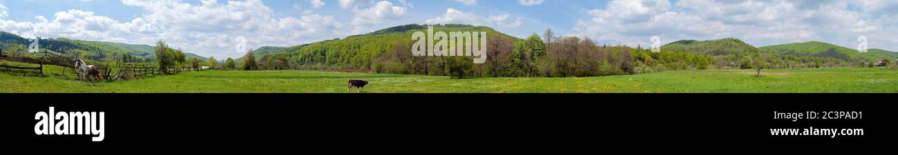 Wunderbares Panorama auf die Berge. Pferde auf einer Bergwiese. Sommerpanorama Landschaft in den Bergen. Ukraine, Karpaten. Wunderschöne Natur Stockfoto