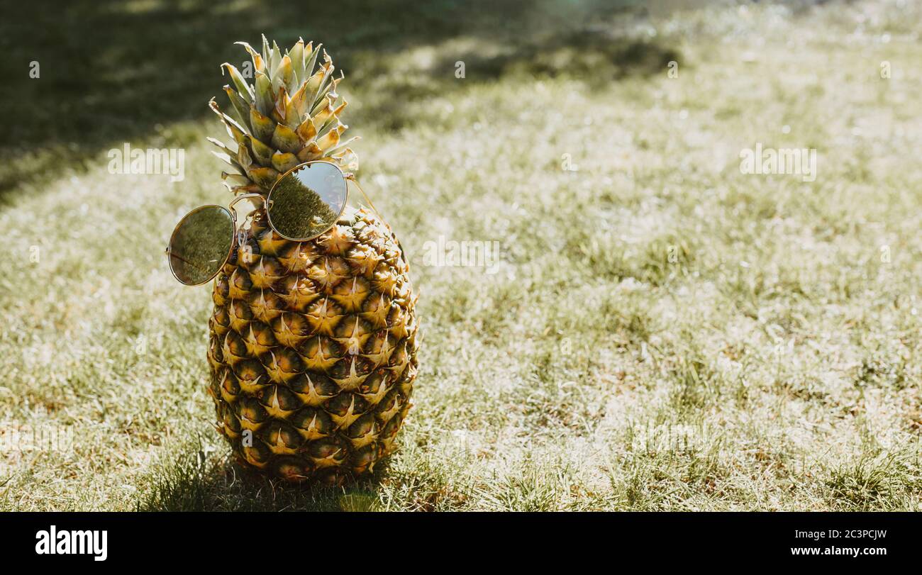 Kühle Ananas mit Sonnenbrille auf und dunklem Gras Hintergrund Stockfoto