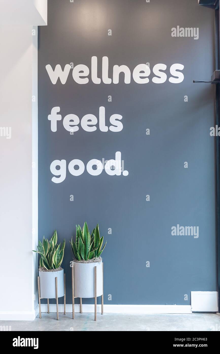 Text "Wellness fühlt sich gut an." auf dem grauen Hintergrund mit grünen Topfpflanzen Stockfoto