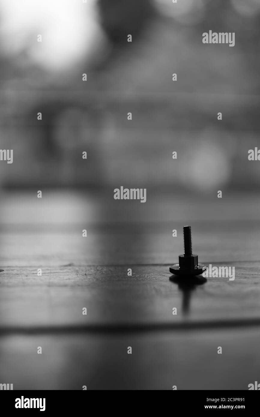 Vertikale Graustufen-Aufnahme mit selektivem Fokus einer schwarzen Schraube Stockfoto