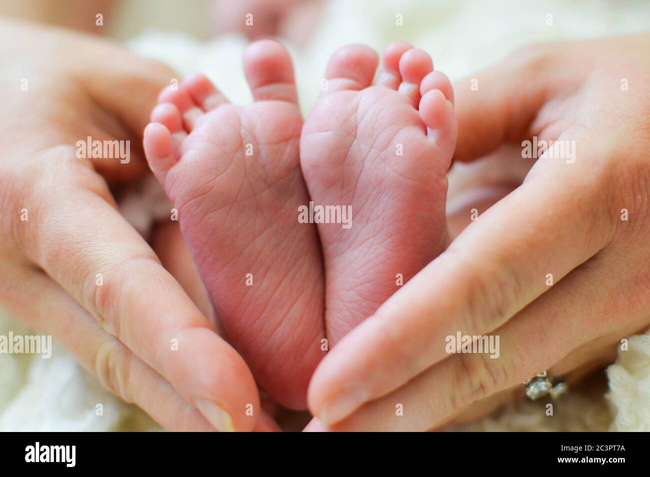 Füße des Neugeborenen in den Händen der Mutter Stockfoto