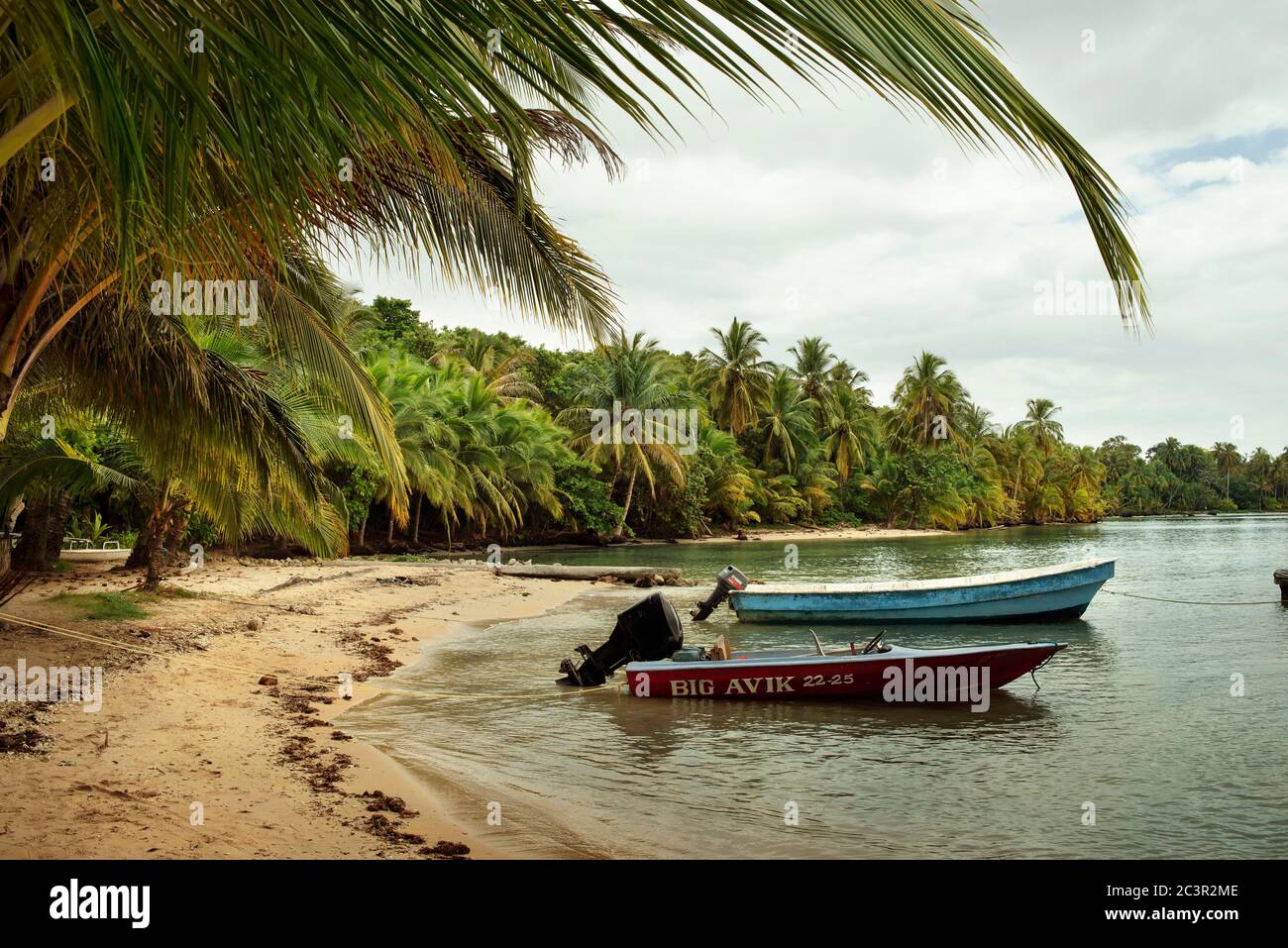 Üppiger Palmenwald am Sandstrand. Boats Parkplatz in Bocas del Toro Provinz, Panama Stockfoto