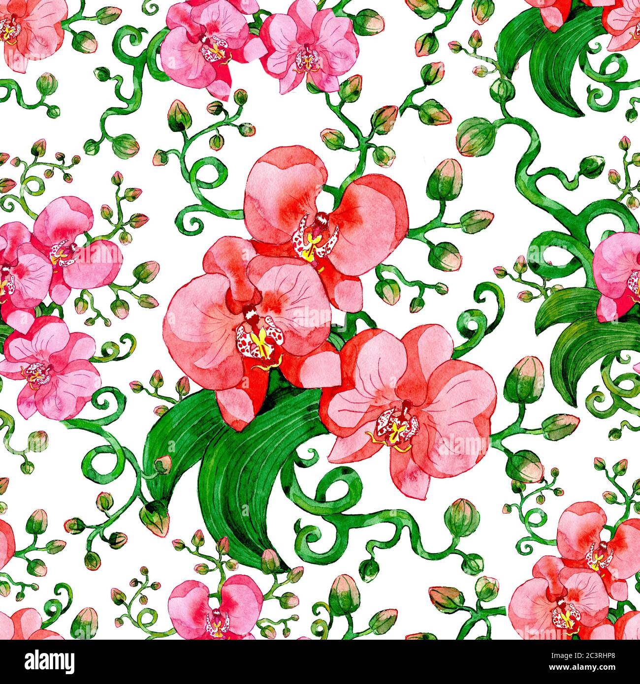Nahtloses Muster mit rosa Orchideenblüte auf weißem Hintergrund. Aquarell handbemalte botanische Illustration mit floralen Elementen für Stoff Textil d Stockfoto