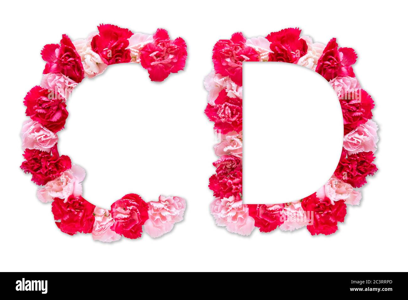 Blumenschrift Alphabet C D Set (Kollektion A-Z), aus echten Nelkenblumen rosa, rote Farbe mit Papier geschnitten Form von Großbuchstaben. Flora Schrift Stockfoto