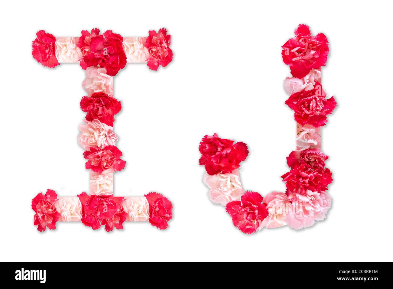 Blumenschrift Alphabet I J Set (Kollektion A-Z), aus echten Nelkenblumen rosa, rote Farbe mit Papier geschnitten Form von Großbuchstaben. Flora Schrift Stockfoto