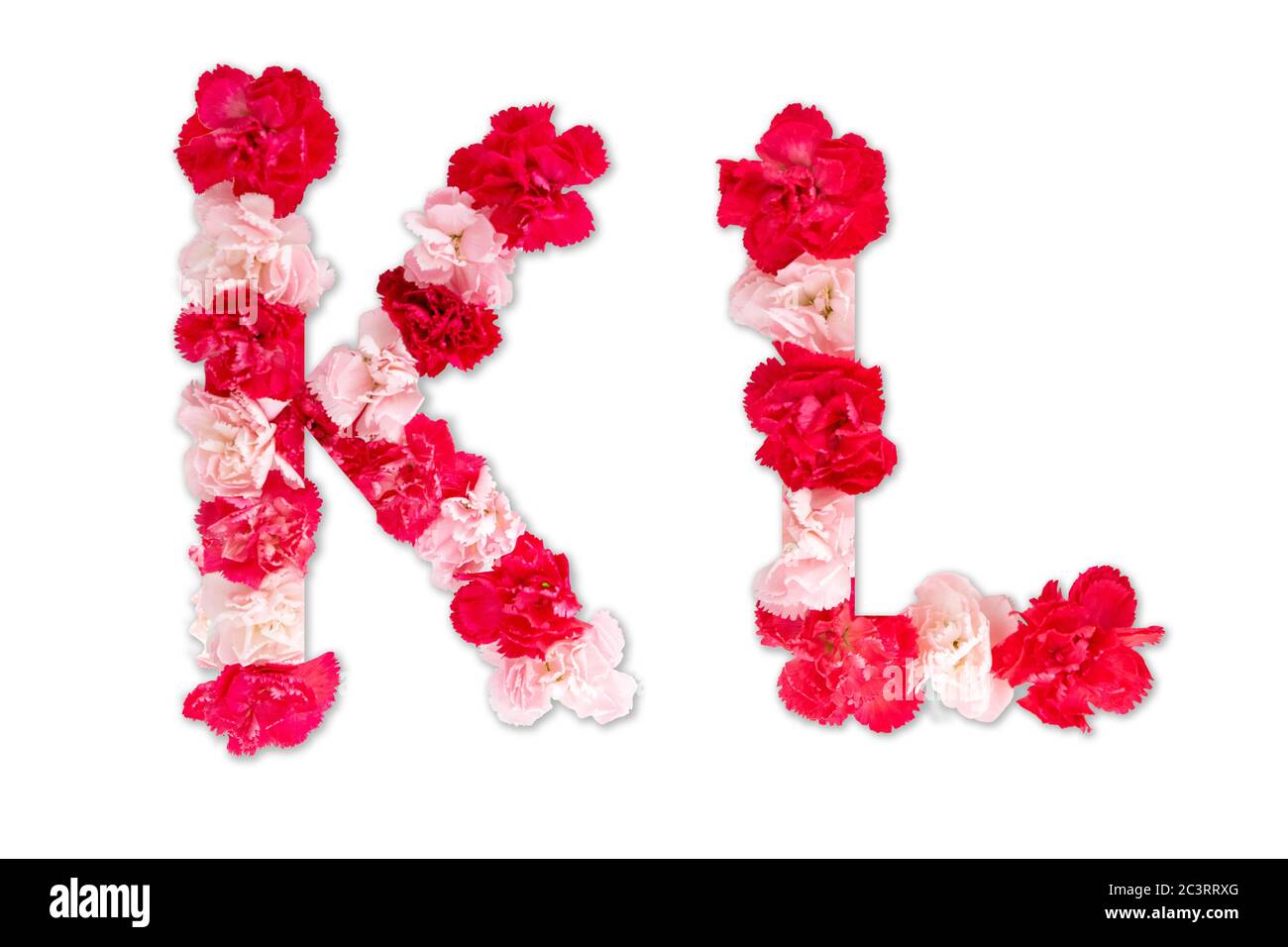 Blumenschrift Alphabet K L Set (Kollektion A-Z), aus echten Nelkenblumen rosa, rote Farbe mit Papier geschnitten Form von Großbuchstaben. Flora Schrift Stockfoto