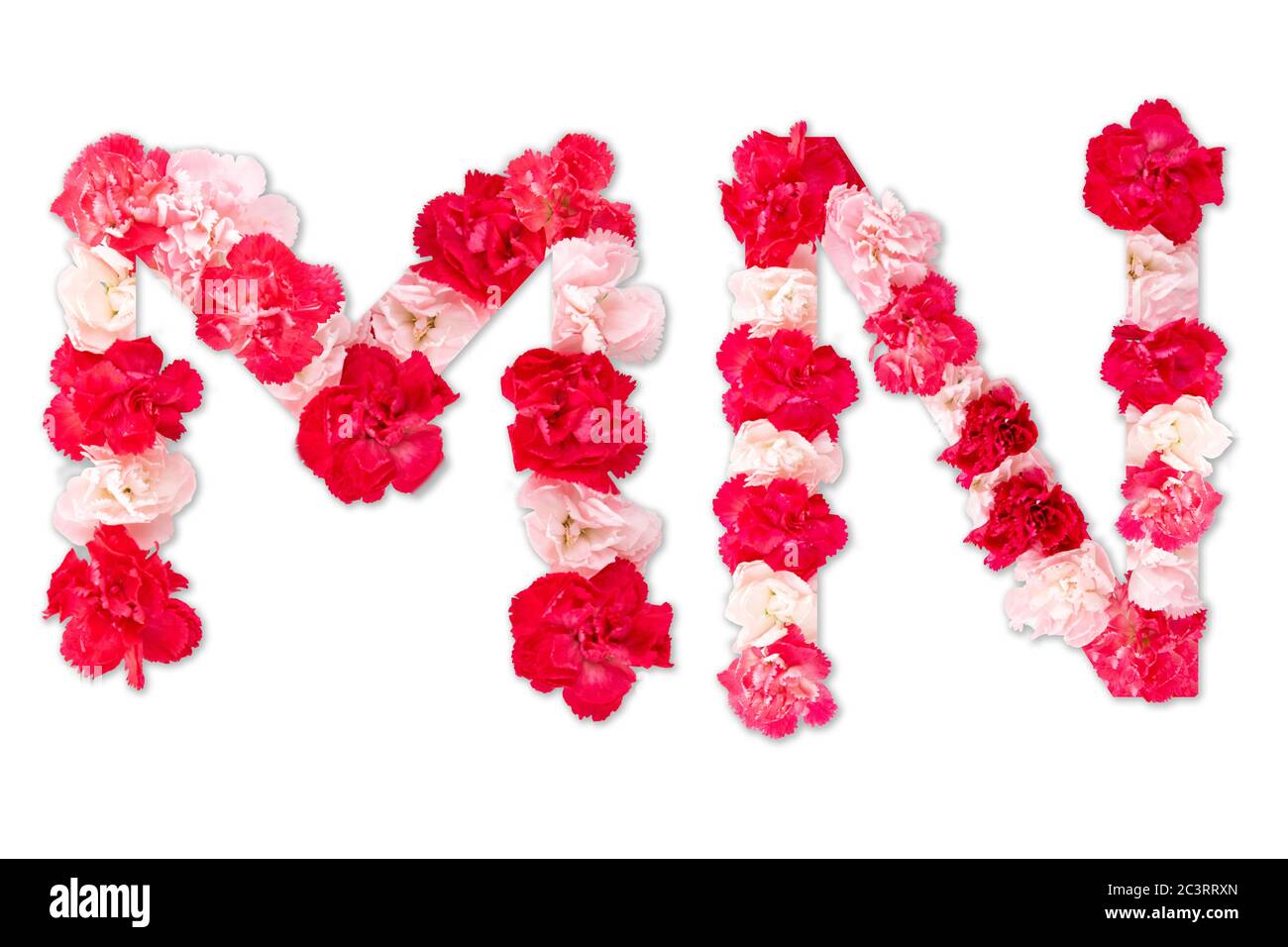 Blumenschrift Alphabet M N Set (Kollektion A-Z), aus echten Nelkenblumen rosa, rote Farbe mit Papier geschnitten Form von Großbuchstaben. Flora Schrift Stockfoto