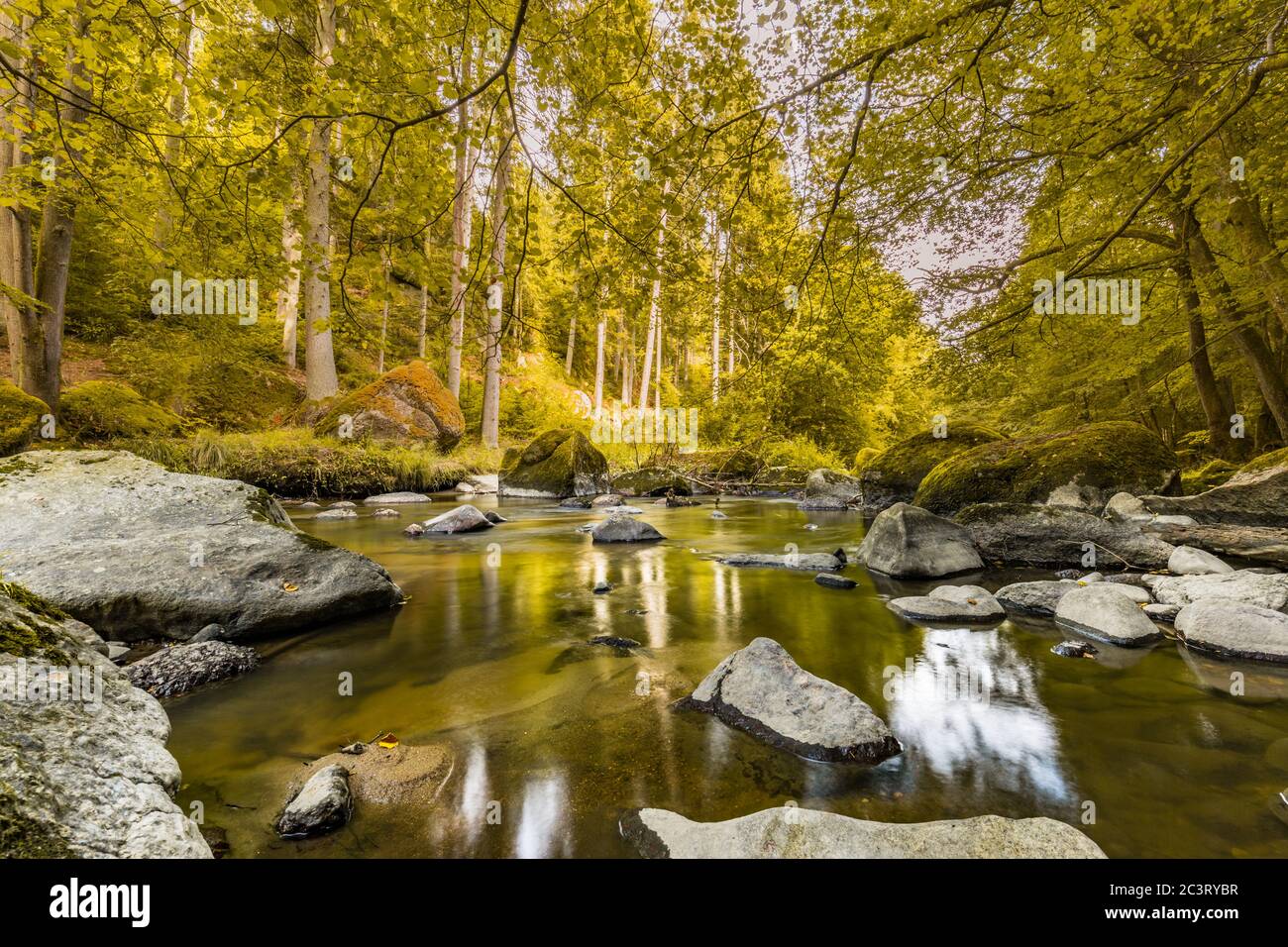 Herbstlicher Wald, mit Moos bewachsene Felsen, abgefallene Blätter. Bergfluss mit Wasserfällen im Herbst. Herbstfarben, ruhige Naturlandschaft Stockfoto