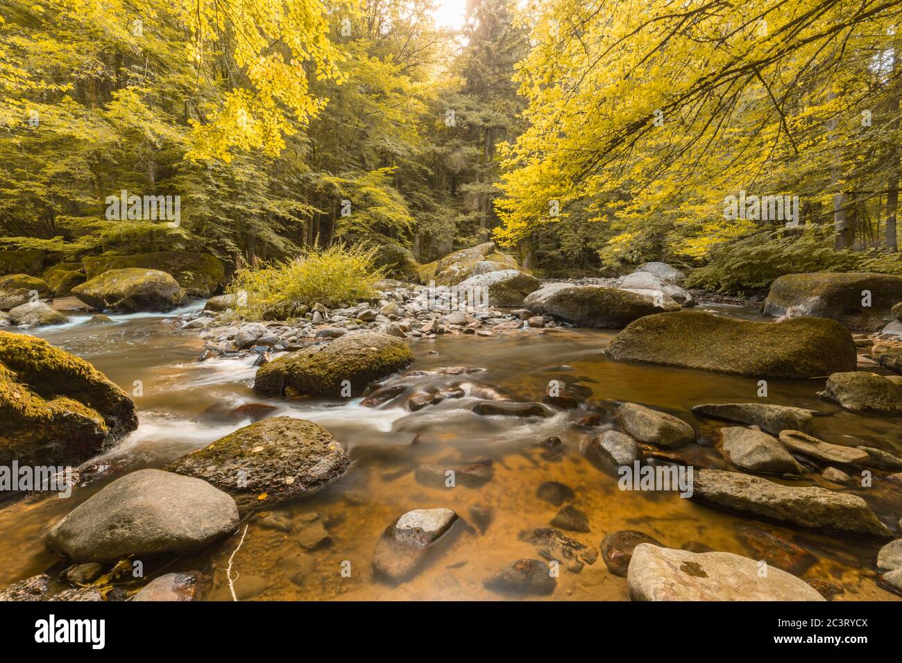 Herbstlicher Wald, mit Moos bewachsene Felsen, abgefallene Blätter. Bergfluss mit Wasserfällen im Herbst. Herbstfarben, ruhige Naturlandschaft Stockfoto