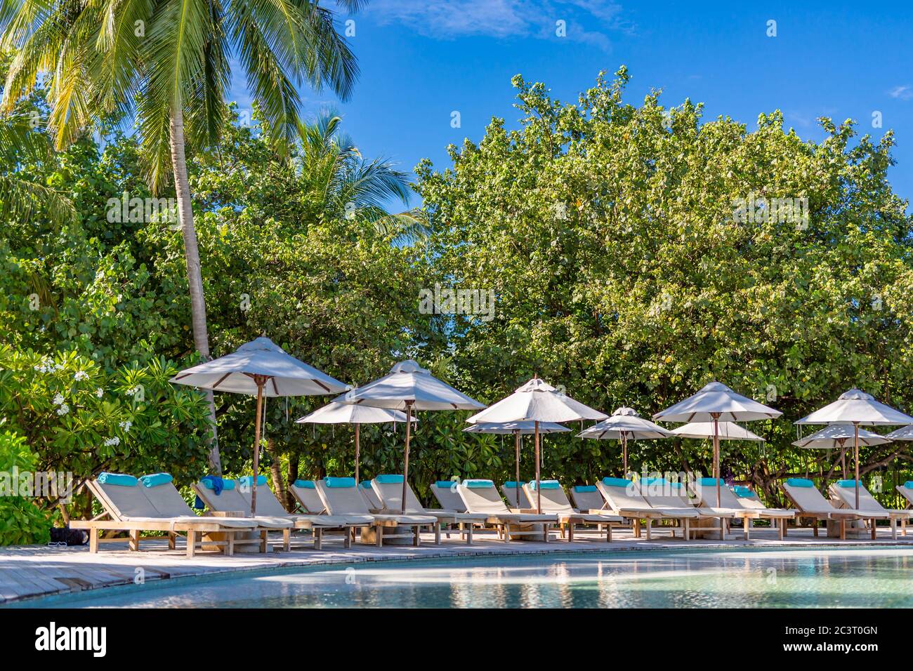 Schöner Pool mit Liegen, Liegen unter Sonnenschirm. Luxuriöser tropischer Swimmingpool, Palmen auf tropischem Naturmuster Stockfoto