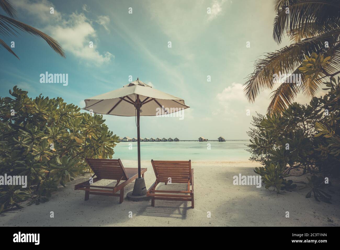 Wunderschönes Banner mit tropischem Strand bei Sonnenuntergang. Weißer Sand und Kokospalmen Reise Tourismus breites Panorama Hintergrund Konzept. Tolle Strandlandschaft. Stockfoto