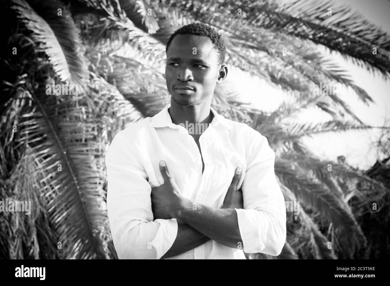 Schwarz schöner junger Mann Modell Portrait Stand und Look mit tropicalc Palme in Background - junge Menschen in schwarz und weiß Stockfoto