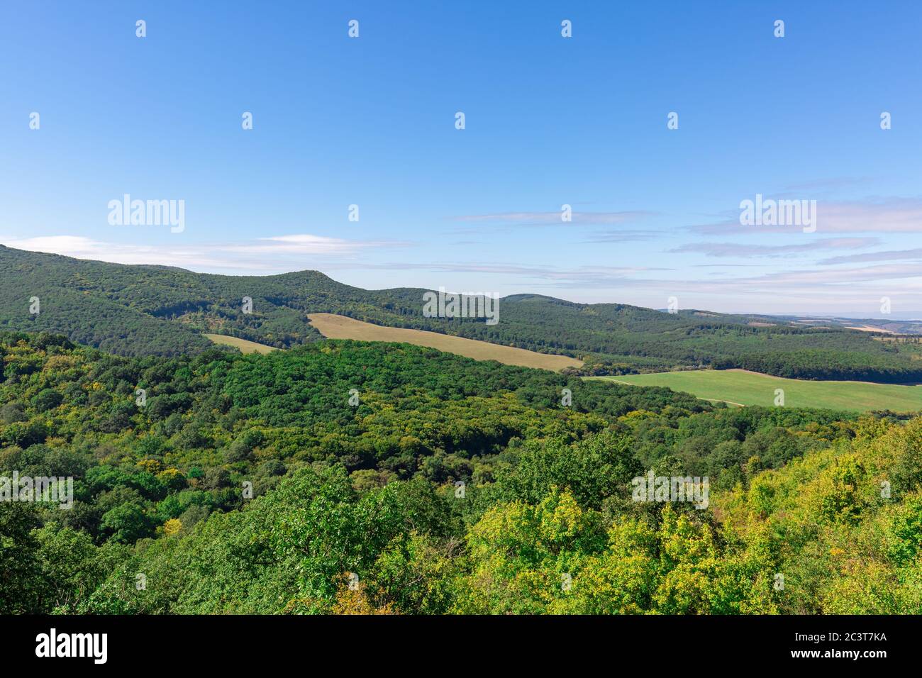 Hügellandschaft mit grünen Wald und Wiesenfeldern unter blauem Himmel, sonniger Sommertag. Natur Umwelt Szene, horizontale Landschaft Stockfoto