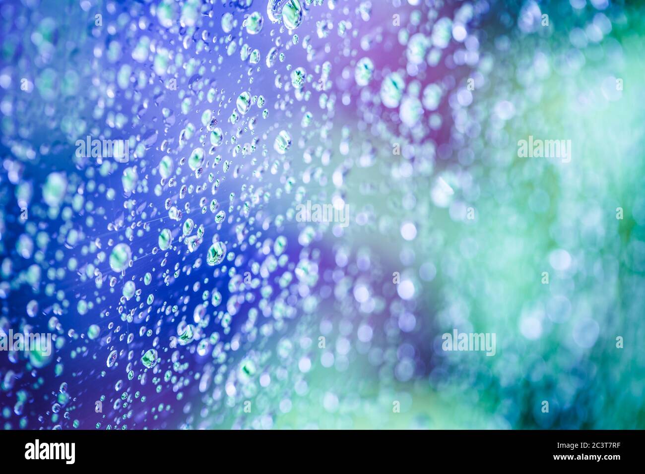 Regen fällt auf Fenster mit abstrakten lila grünen Baum im Hintergrund. Stockfoto