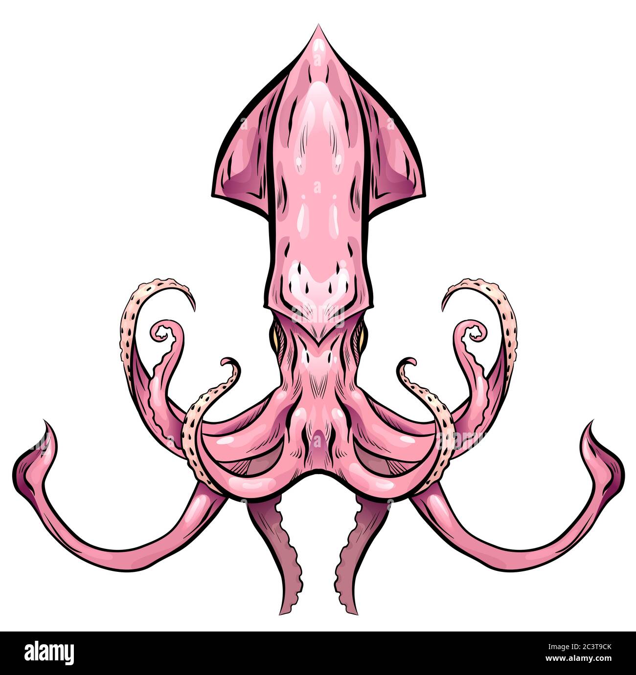 Bunte Illustration von Tintenfisch. Das Objekt ist vom Hintergrund getrennt. Illustration zum Bedrucken von T-Shirts, Covern, Tattooskizzen Stockfoto