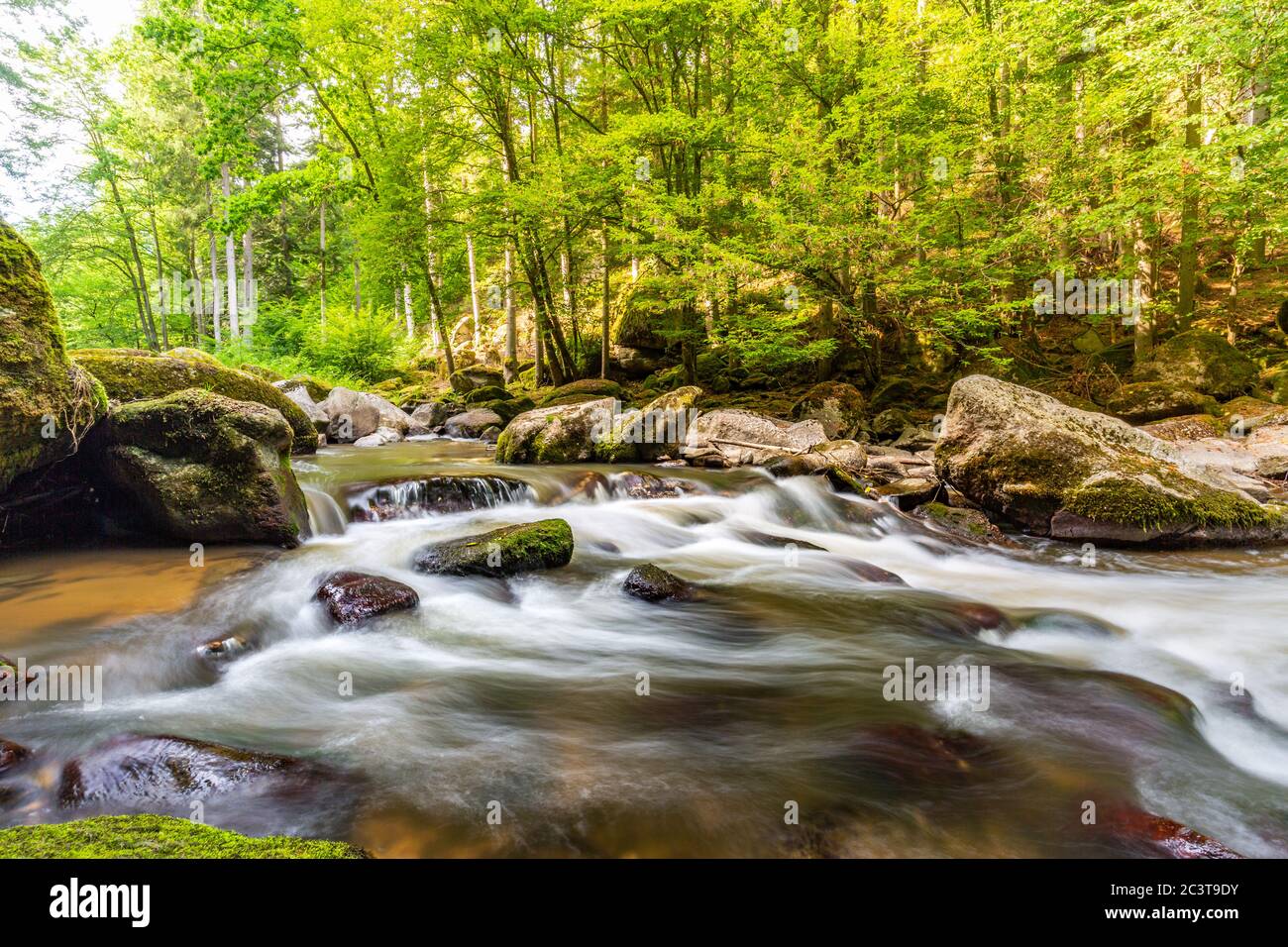 Erstaunliche Waldnatur, Fluss mit Felsen in wunderbaren Frühling Sommer Sonnenlicht. Natur Wunderland kleiner Wasserfall in grünen Wald üppige Landschaft Stockfoto