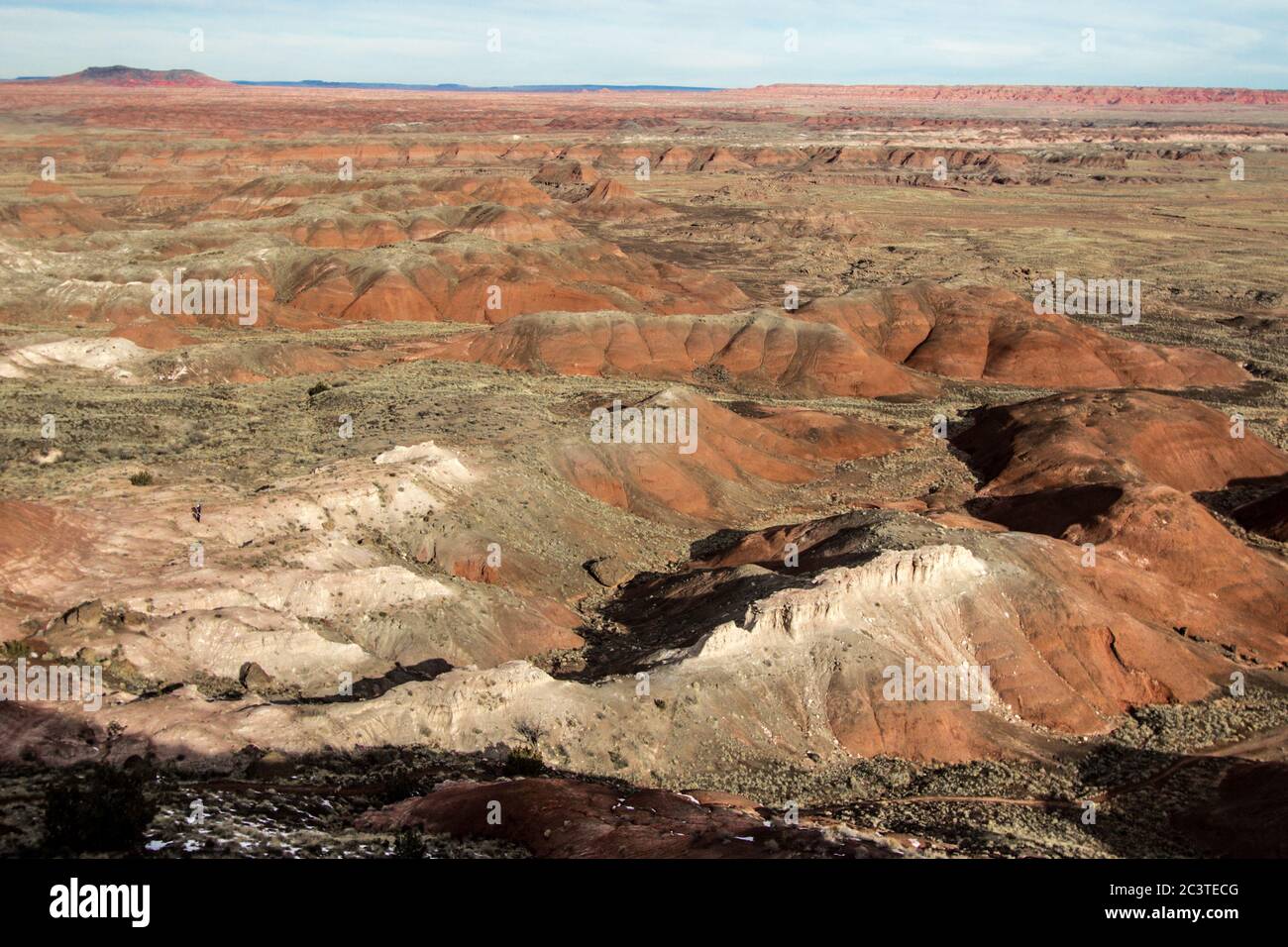 'Painted Desert Petrified Forest National Park Blick auf eine zerklüftete Wüstenlandschaft in Holbrook, Arizona. Stockfoto