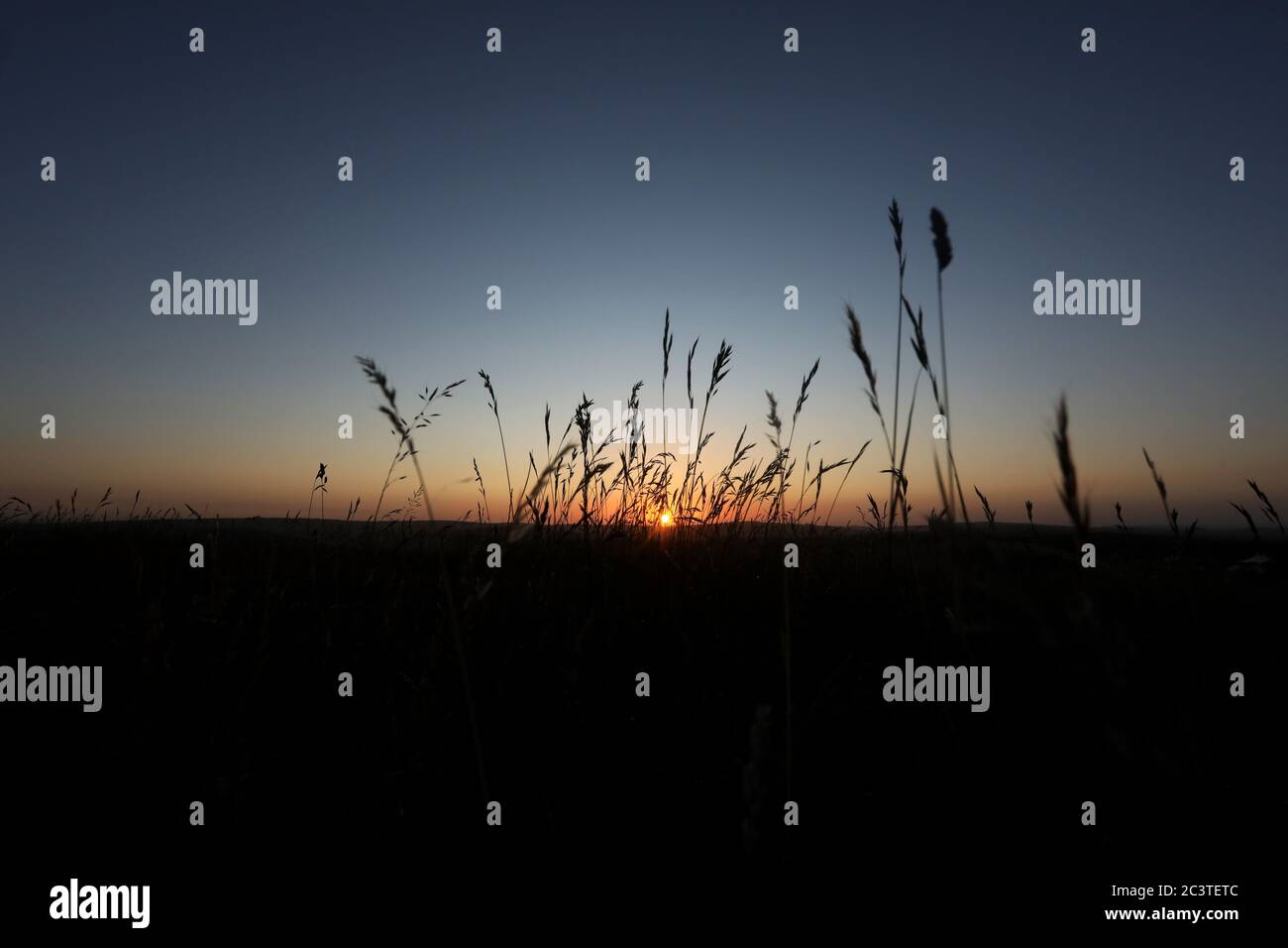 Sonnenaufgang im Trundle in Chichester, West Sussex, UK, Teil des Goodwood Estate und im South Downs National Park. Stockfoto