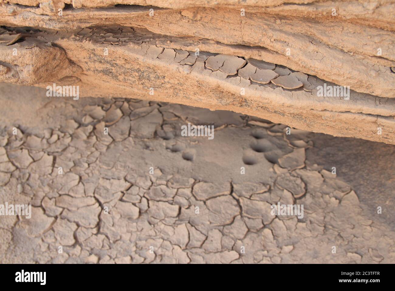 Nahaufnahme Schlammbruch, Crack getrockneten Boden in Dürre Stockfoto