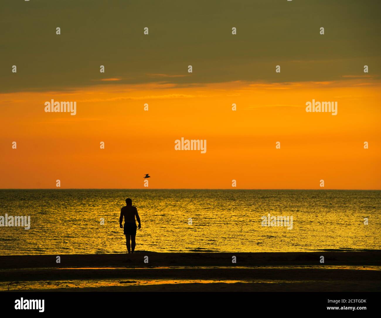 Mann zu Fuß in der Nähe des Meeres bei Sonnenuntergang Stunden.romantische Ferien. Konzeptfoto der Sommerferien. Mensch und Vogel Stockfoto