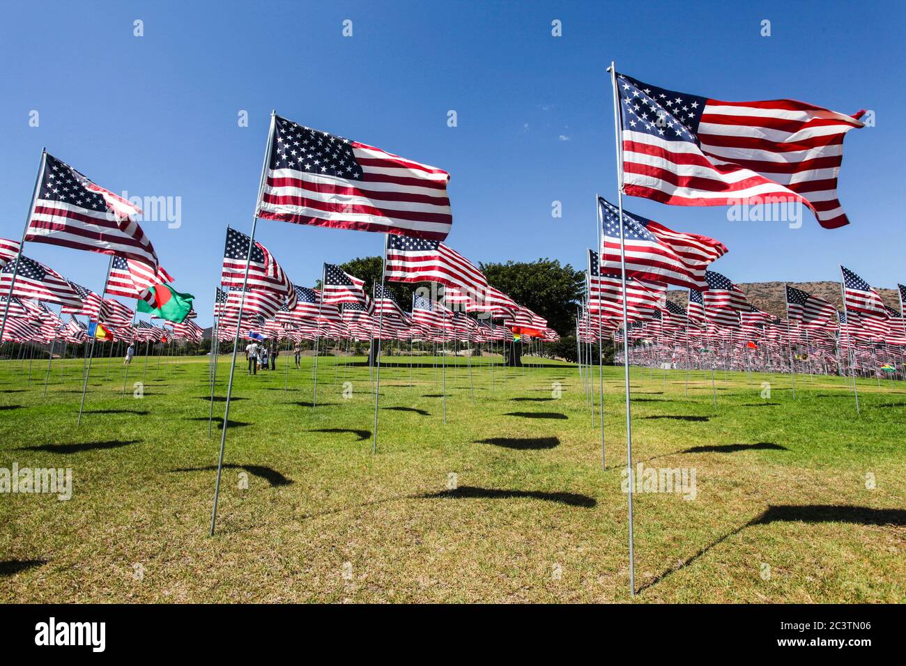 Amerikanische Flaggen fliegen auf dem Campus-Gelände, um den unschuldigen Opfern des Angriffs auf das World Trade Center, das Pentagon und Flug 93 von 9/11 zu gedenken. Stockfoto