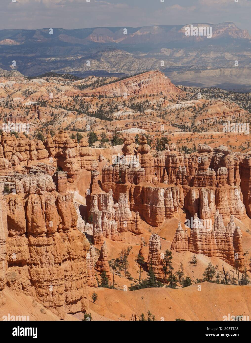 Die wunderschönen Klippen des atemberaubenden Bryce Canyon National Park, Utah. Stockfoto