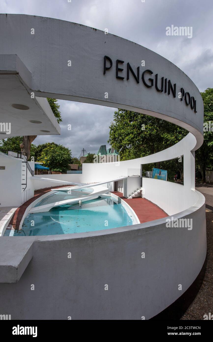 Gesamtansicht des Pinguin-Pools ohne Pinguine. Penguin Pool, London Zoo, London, Großbritannien. Architekt: Berthold Lubetkin, 1934. Stockfoto
