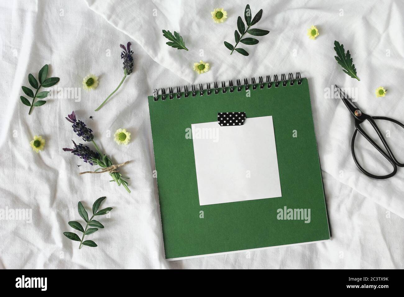 Sommer Lifestyle florale Komposition. Grünes Tagebuch, Skizzenbuch Mockup Szene mit leerem Notizblock. Lavendel und Chrysantheme Blumen und grüne Blätter auf Stockfoto
