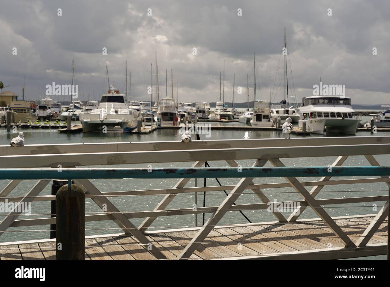 Boot und Vogelwelt in Marina, Hervey Bay, Queensland, Australien Stockfoto