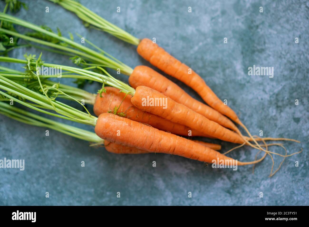 Eine Reihe von Karotten Stockfoto