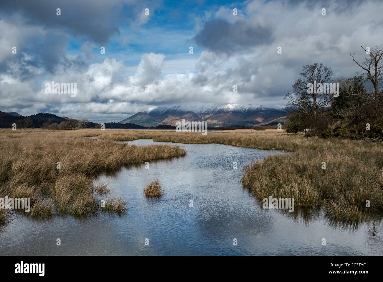 Lake District Frühlingsbilder Stockfoto