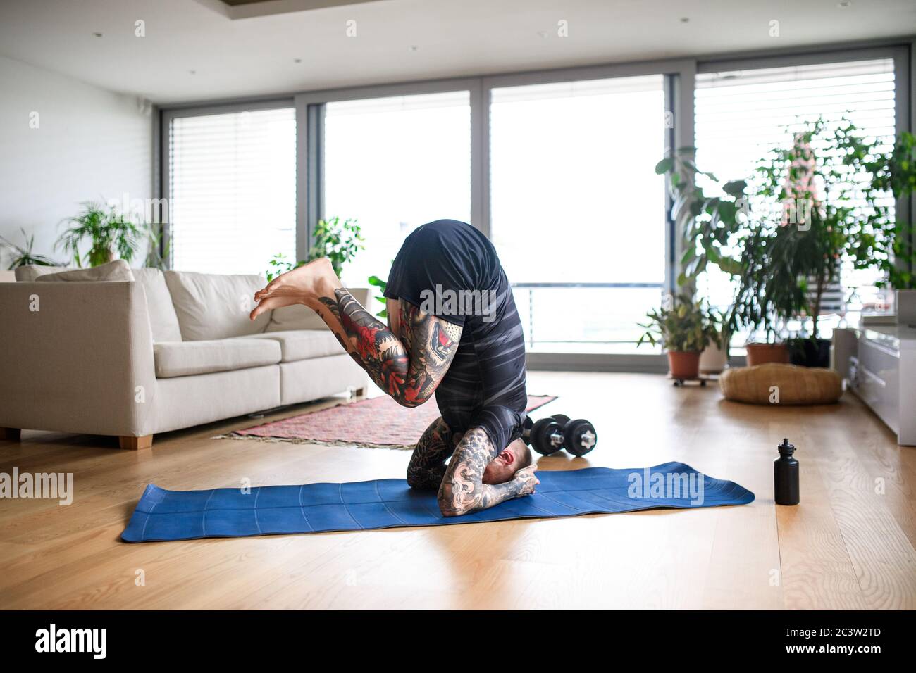 Junger Mann macht Training drinnen zu Hause, Kopfstand. Stockfoto